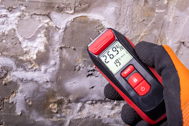 Best Office Mold Removal Services  in Lawrenceburg, KY