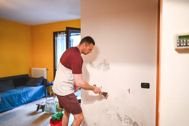 Best Mold Damage Repair  in Lawrenceburg, KY
